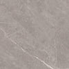 Platon Grey