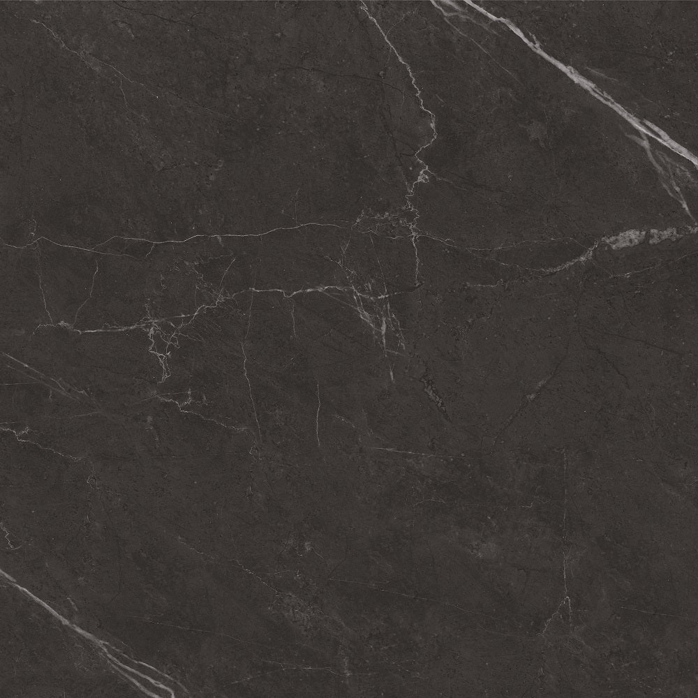 Platon Charcoal