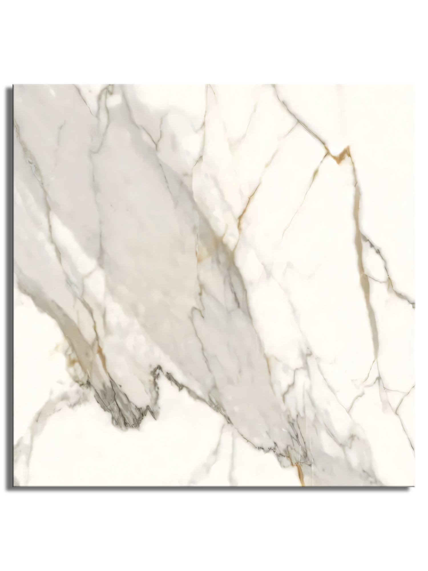 Calacatta Vein