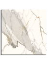 Calacatta Vein