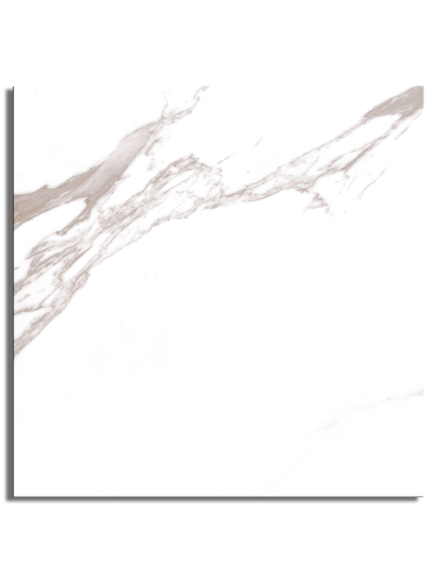 Calacatta Vein